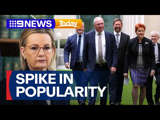 One Nation’s popularity surges past the Liberal Party | 9 News Australia