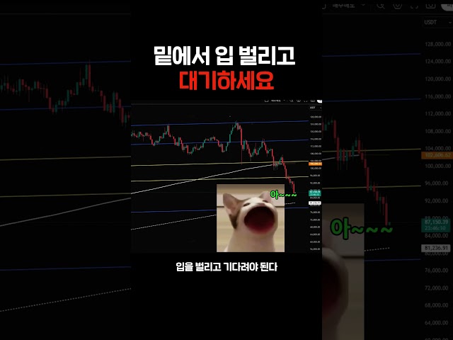 🤬 나스닥은 '반등'하는데 비트코인만 '추락'?!