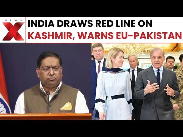 India Slams EU-Pakistan Joint Remarks On Kashmir, Says No Locus Standi | NewsX