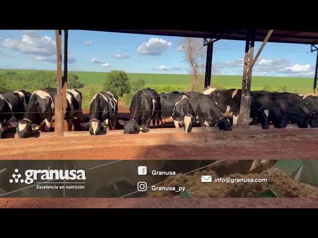 Empezó con 2 vacas y poco conocimiento, hoy tiene 80 lecheras en producción