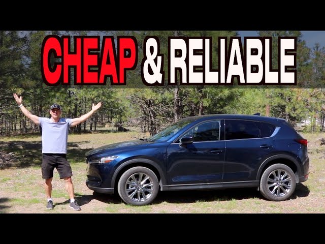 7 Best USED CAR Bargains in America RIGHT NOW!