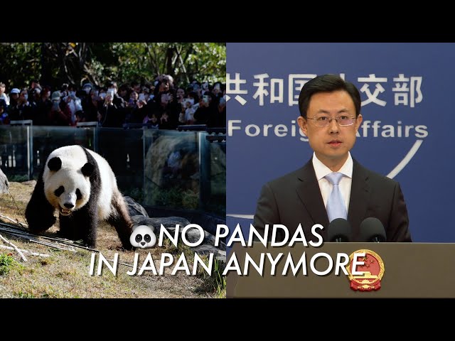 Beijing confirms Japan's pandas will leave before February, invites panda lovers to China