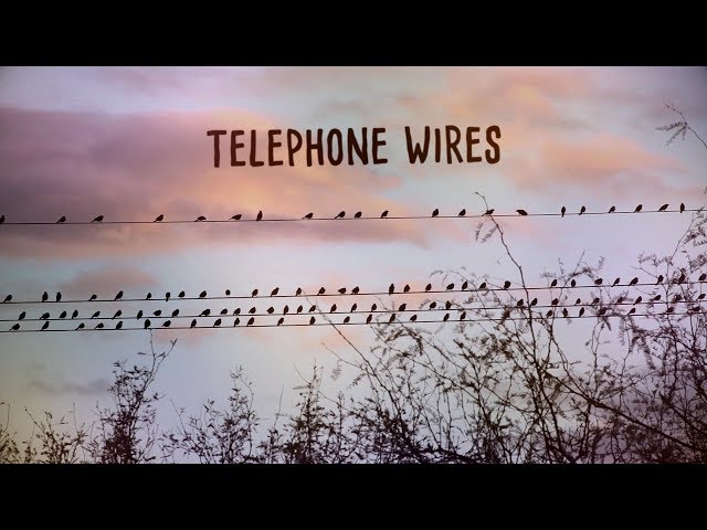 Smith & Thell - Telephone Wires (Lyric Video)