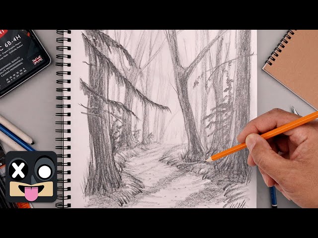 How To Draw a Forest Landscape | Step by Step Art Lesson