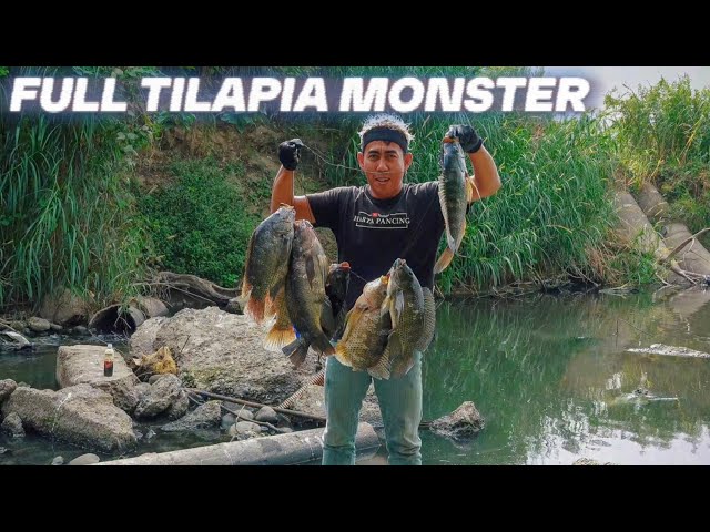 There are few anglers!! This river is full of big tilapia fish