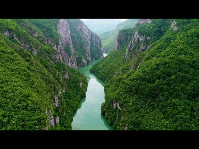 No Copyright Nature Video | Copyright Free Nature Video - NCF_HD_1080p