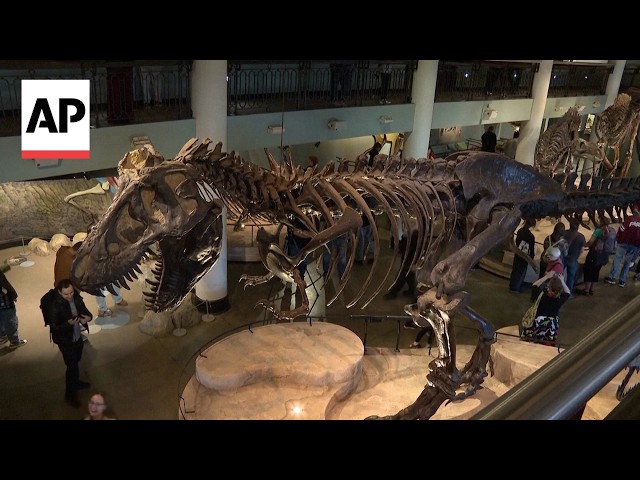 The oldest US natural history museum is closing