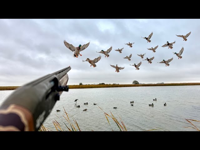 North Dakota Duck Hunting Opener 2026!