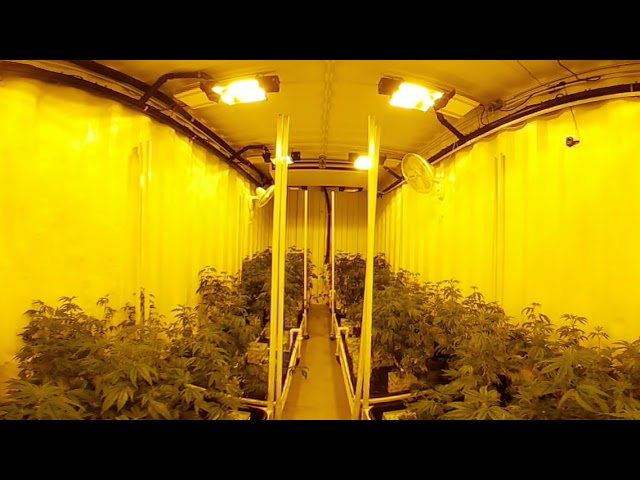 Cultivation Container