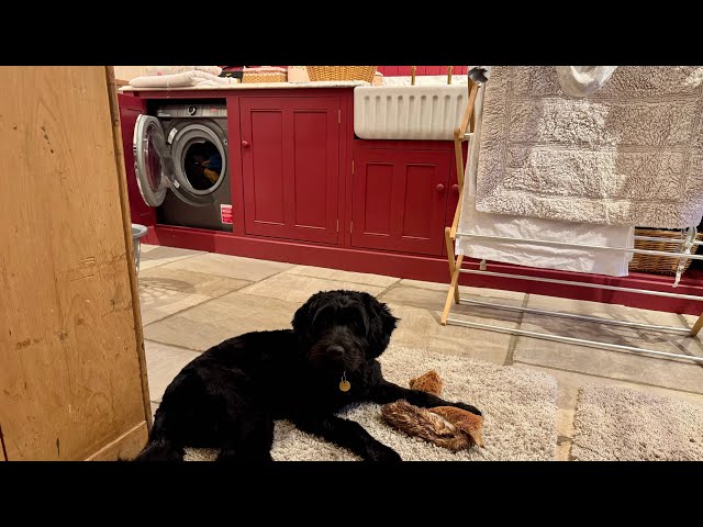 10 Minute Daily Laundry Routine-| Do Laundry With Me | Clean With Kate #laundryroutine