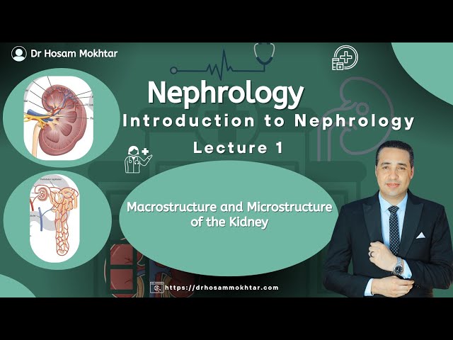 Nephrology - Lecture 1 - introduction to Nephrology