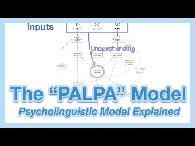 The "PALPA Model" Explained: Normal Language Processing in Psycholinguistics