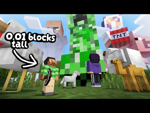 Minecraft but EVERYTHING is a RANDOM Size?!