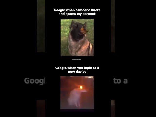 hey Google | #memes #python #machinelearning #ai #google