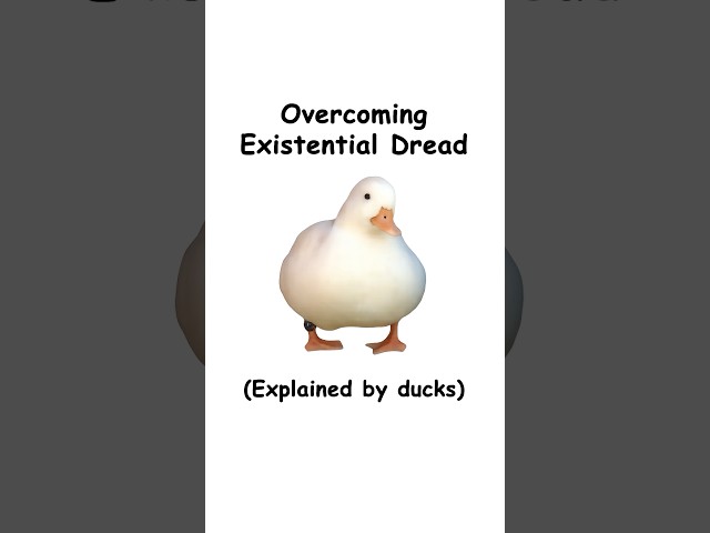 Existential dread (explained by ducks)