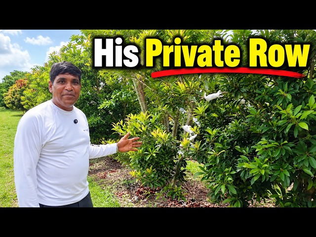 Inside His 50-Acre Tropical Fruit Farm — His PRIVATE Collection!