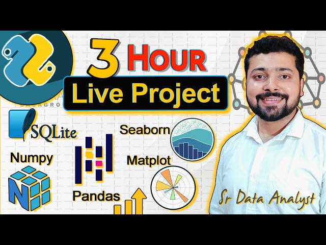 Complete Data Analytics Portfolio Project | Learn How Data Analyst Work (Python + SQL)