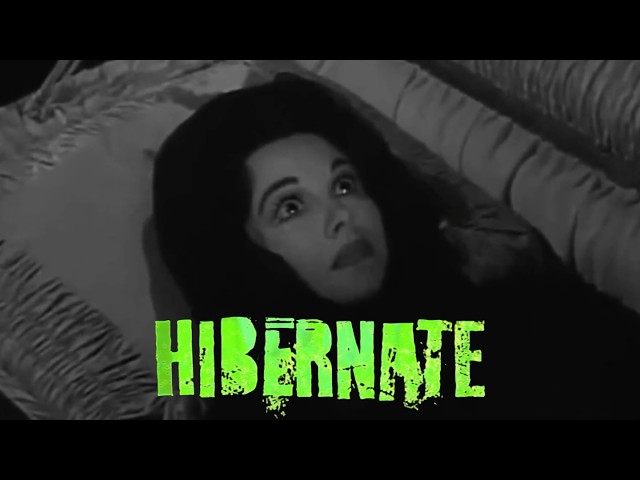 VOILÀ - Hibernate (Theatrical Lyric Film)