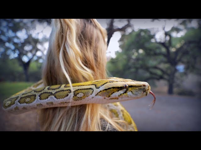 Losing my patience with Reptiles