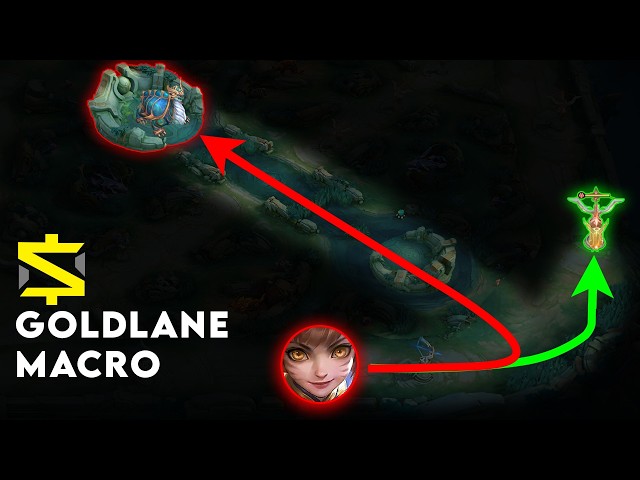 I Studied Gold Lane Macro so You Don't Have To