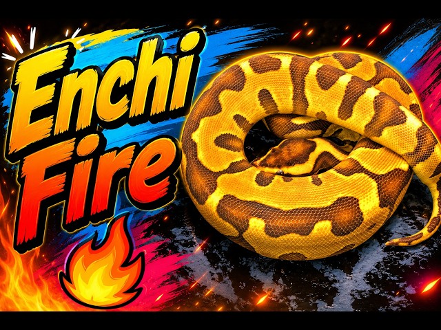 Enchi Fire For the Win