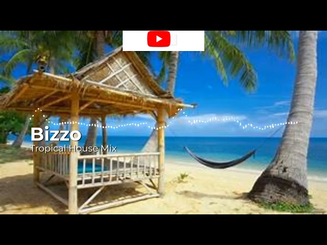 Tropical House Mix 2021/ Background No Copyright Music