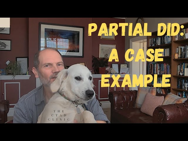 Partial DID: looking at an example in clinical practice