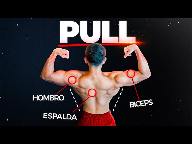 The Best PULL Routine According to Science