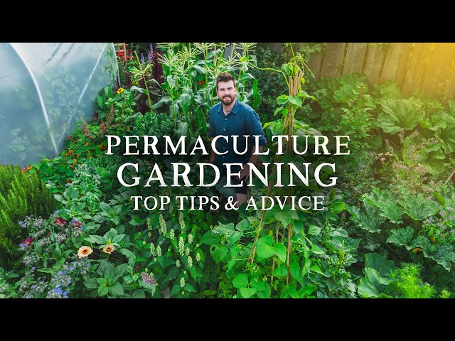 Permaculture Gardening Advice for Vegetable Gardeners (2 Hours of Top Tips)