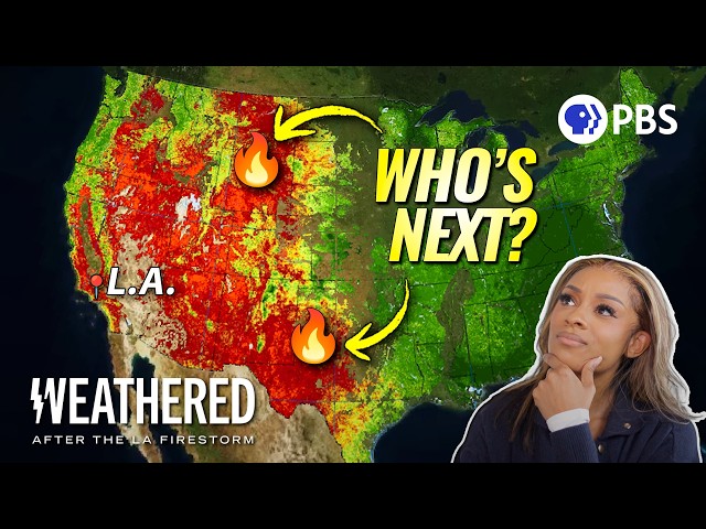 I Know Why LA Burned. And It WILL Happen Again.