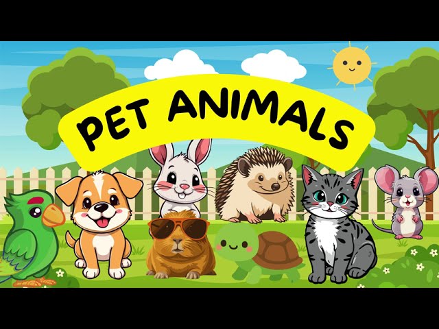 Pet Animals | Learn about Pets 🐾| Animals for kids | Toddlers Educational Video | Kids Videos