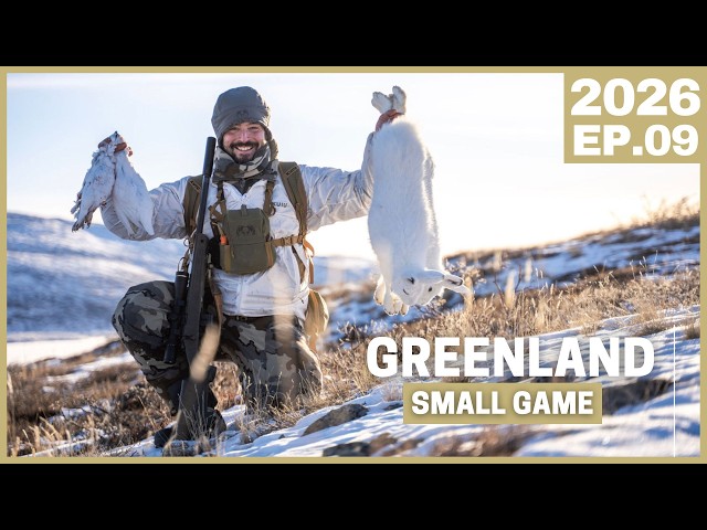Arctic Small Game Hunting | Ptarmigan & Arctic Hare in Greenland