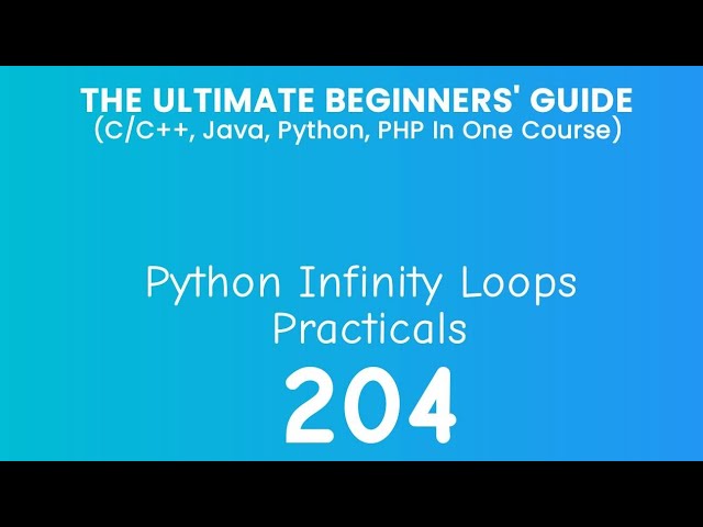 204. Python Infinity Loop Practical