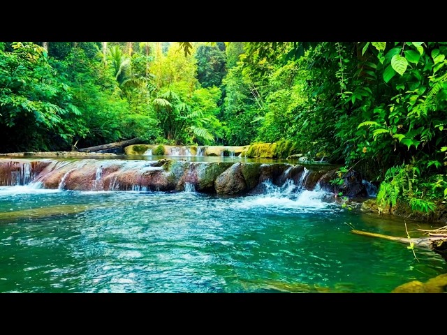 🔴 Deep Forest River Ambience with Natural Water Sounds, Relaxing Forest River, No Music. #364