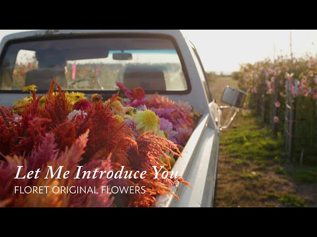 Let Me Introduce You: Floret Original Flowers