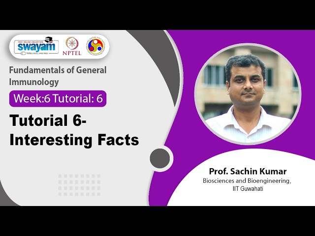 Tutorial 6- Interesting Facts