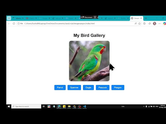 Image Swaper Using HTML CSS JavaScript