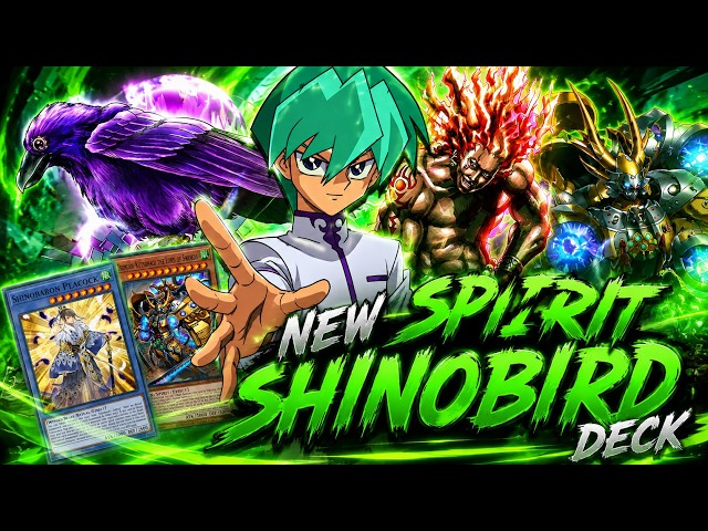 👉 Noah Kaiba's NEW Spirit Shinobird Deck is INSANE! 🔥