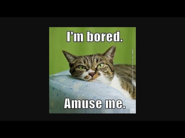 Best Practices in Reactive Application with Java 1.8 and Play by Will Sargent