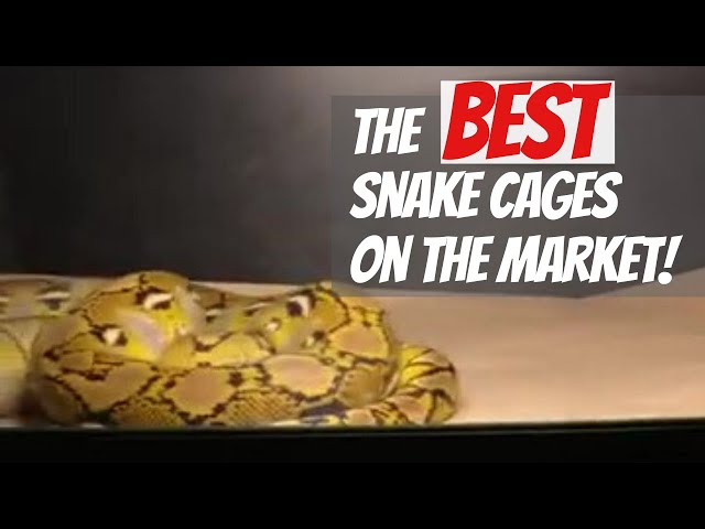 HANDS DOWN BEST SNAKE ENCLOSURES-MUCH APPRECIATION TO JUNGLE CAGES