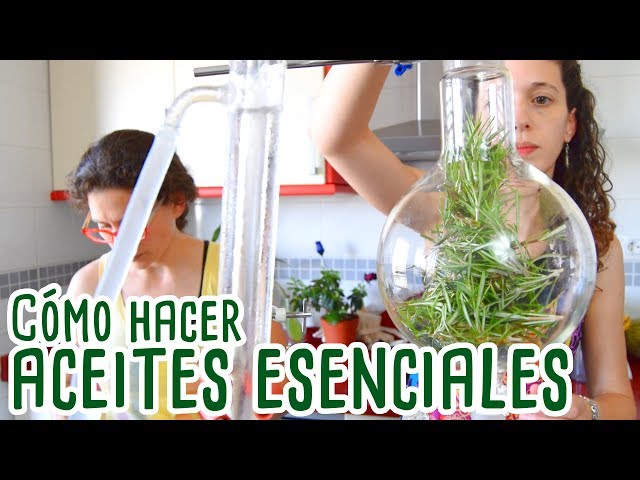 CÓMO HACER ACEITES ESENCIALES  EN CASA