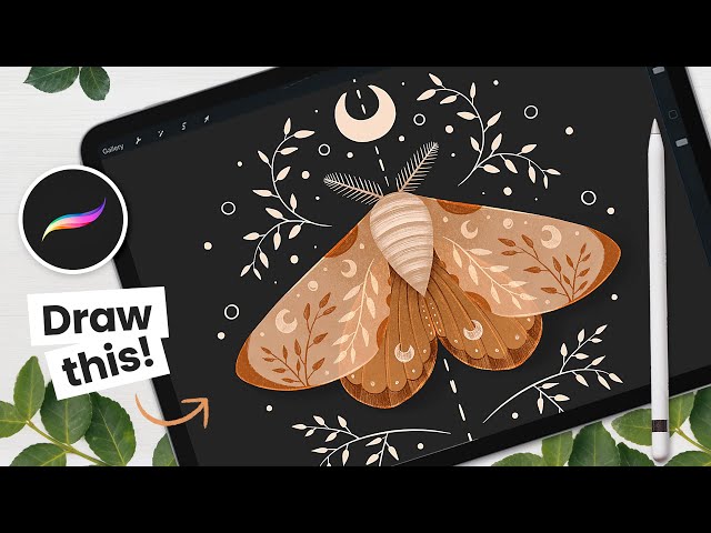 How To Draw A Magical Moth in Procreate • Digital Art Tutorial