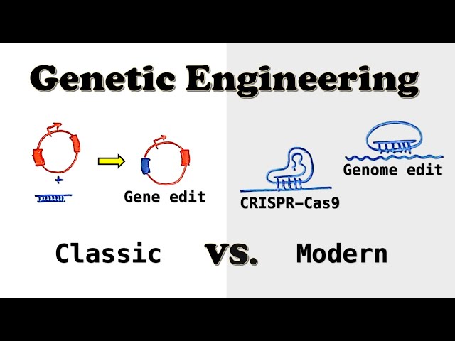 Genetic Engineering - Classic vs Modern methods
