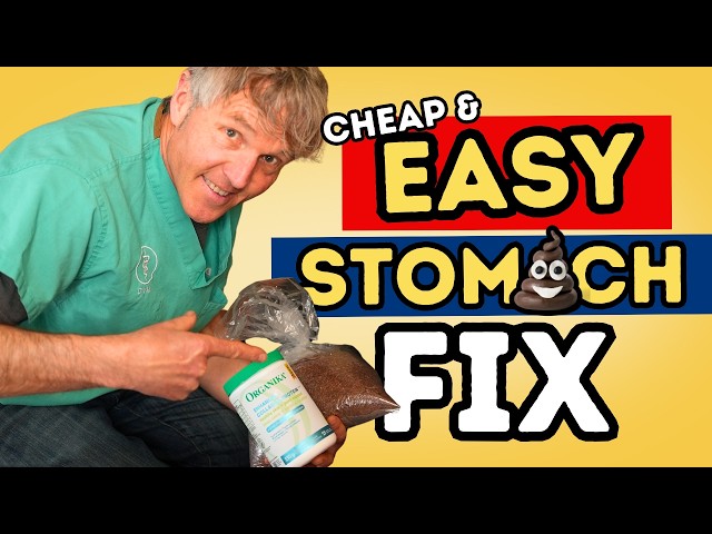 Dog & Cat Stomach Problems? 5 Easy Natural Remedies That Work
