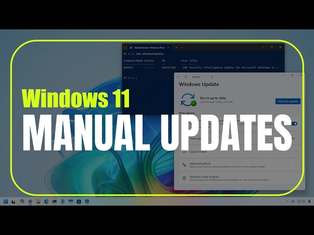 Windows 11: Manually Download and Install Updates