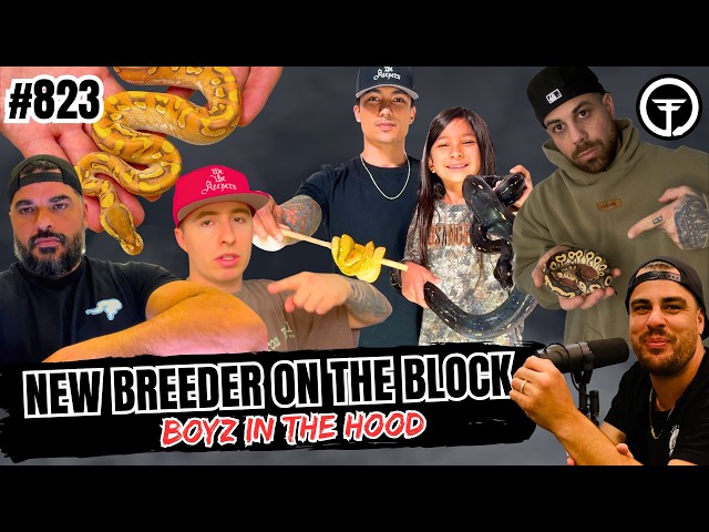 Ball Python Morphs That Do NOT Belong Together... | New Breeder On The Block Ep.823 (Live)