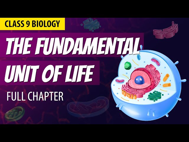 THE FUNDAMENTAL UNIT OF LIFE in 1 Shot | FULL Chapter Animation | Class 9th Biology | NCERT Science