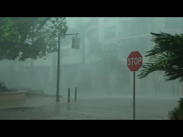 Crush Insomnia to Sleep Soundly with Hurricane Violent, Heavy Rain & Power Thunder in City at Night