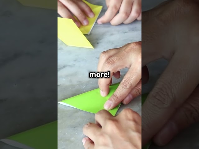 The history and science of origami 🧘 #OrigamiFacts #ArtHistory