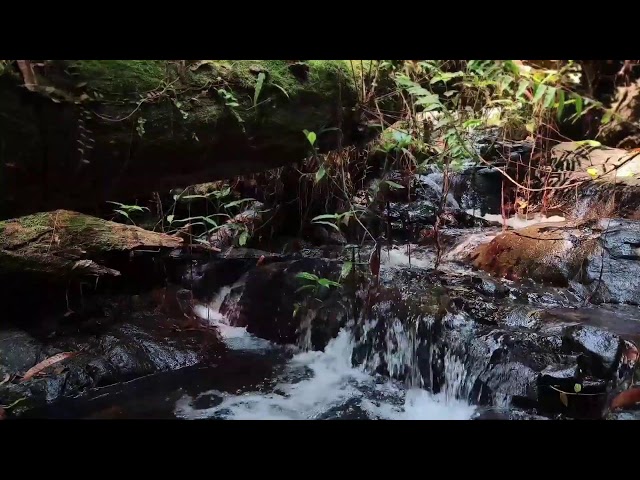 Relaxing Piano Music – Healing Vibes & Gentle River Sounds for Deep Sleep